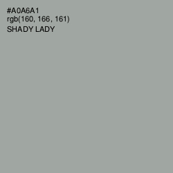 #A0A6A1 - Shady Lady Color Image